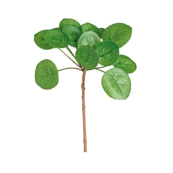 Tige de feuilles de pilea artificielle verte H33