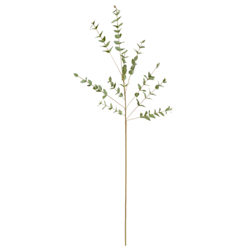 Tige d'eucalyptus parvifolia artificielle vert grisâtre H90