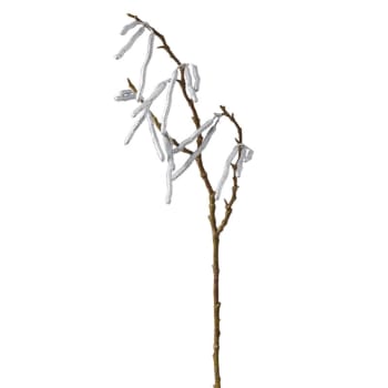 vente de branches décoratives - decowood naturel