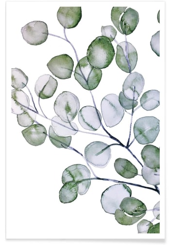 Eucalyptus watercolor - Affiche blanc & vert