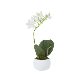 Orchidée en pot argent H57 - Fleurs et plantes artificielles - Décomania