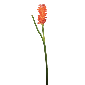 Fiore artificiale a stelo di zenzero arancione H99