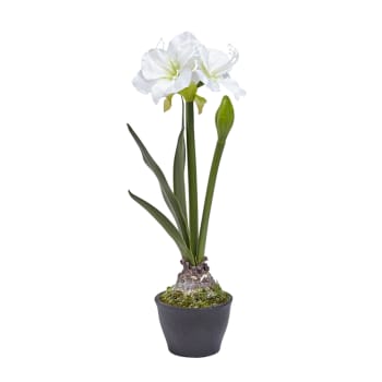 Amaryllis artificiale in vaso bianco H70
