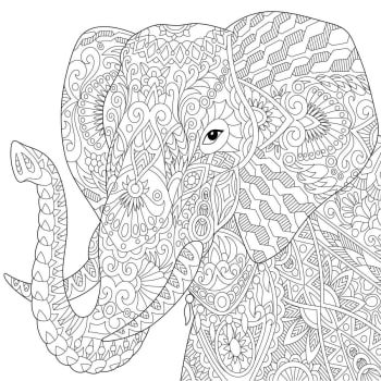 Illustration - Tableau sur toile éléphant à colorier 30x30 cm