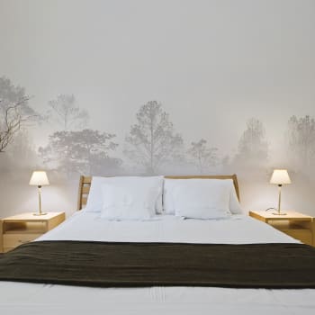 Papier peint panoramique brumes matinales 300 x 250 cm beige