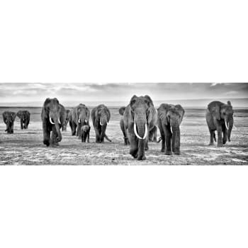Animaux - Tableau sur toile troupeau d'éléphants noir & blanc 30x97 cm