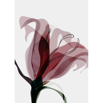 Illustration - Tableau sur verre synthétique fleur abstraite 80x120 cm