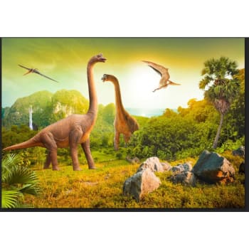 Stickers dinosaure t-rex et palmier, déco chambre enfant Lilipinso