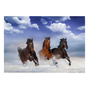 Papier peint chevaux dans la neige 350 x 245 cm