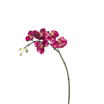 Budy - Tige d'orchidée phalaenopsis artificielle fuchsia H42