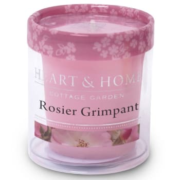 Petite bougie heart and home rosier grimpant