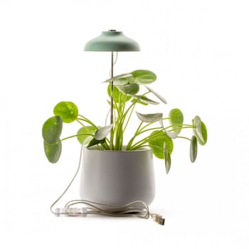 Lampe pour plante LED - Lampe horticole - Vert d'eau / Moutarde