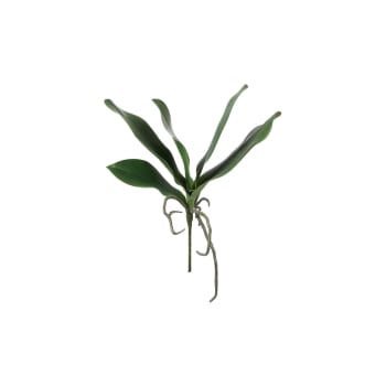 Piquet de feuilles d'orchidée artificielles vertes H22