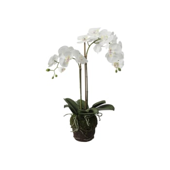 Orchidée artificielle en terre blanche H70