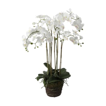 Orchidée artificielle en terre blanche H85