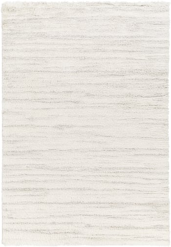 Adley - Tapis Shaggy Moderne Blanc/Gris 160x213