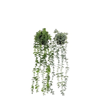 Plante succulente retombante artificielle 60cm lot de 2