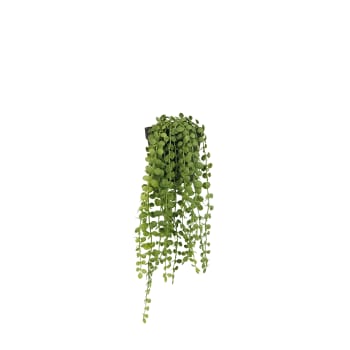 Plante succulente retombante artificielle 40cm