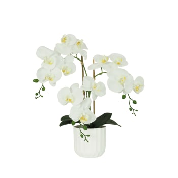 Orchidées artificielles toucher naturel blanc 52cm