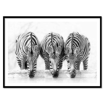 Affiche 30x40 cm et cadre noir - Three Zebras - Henry Zao