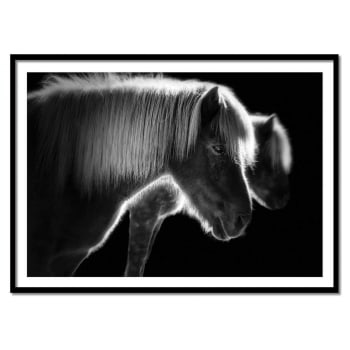Affiche 30x40 cm et cadre noir - Pony