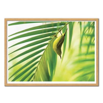 Affiche 50x70 cm - 50 shades of green - Daniele Bariviera