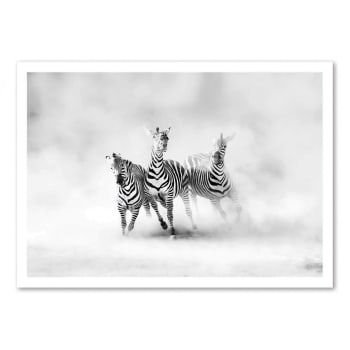 Affiche 50x70 cm - ZEBRAS - Juan  Luis Duran