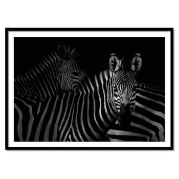 Affiche 30x40 cm et cadre noir - Zebras family