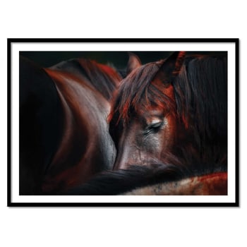 Affiche 30x40 cm et cadre noir - Sleep huddle - Martin Stantchev