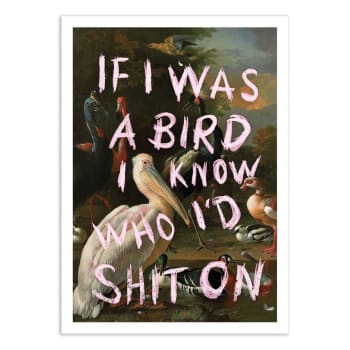 Affiche 50x70 cm - If I was a bird - Jonas Loose
