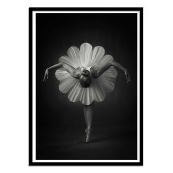 Affiche 30x40 cm et cadre noir - Floral Ballet - Catchlight Studio