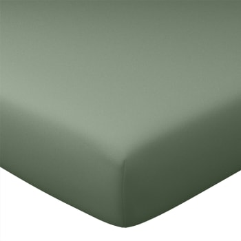 Coton uni lauréat - Drap-housse 80x190x28 vert lichen en coton