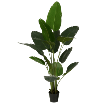 Banana tree - Pianta artificiale albero di Banano in vaso verde alt.180