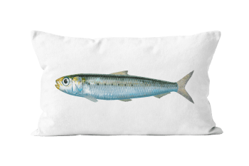 Coussin imprimé poisson velours blanc
