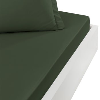 Soft percale - Drap housse percale coton pour lit articulé Eucalyptus 160x200 cm