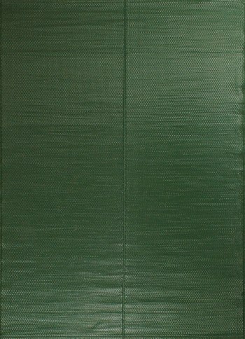 Capri - Tapis extérieur réversible motif uni - Vert - 150x220 cm