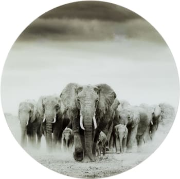 Cuadro cristal redondo elefantes 120cm