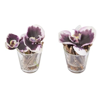 Sissi - Set de 2 orchidées en illusion d'eau artificielles violettes D10