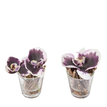 Set 2 Bouquet Artificiale di Orchidee e Rose Altezza 38 cm Marrone/Ciliegia/Bordeaux | Leroy Merlin