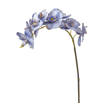 Glitter - Tige d'orchidée phalaenopsis artificielle bleue H100