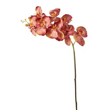 Glitter - Tige d'orchidée phalaenopsis artificielle rouge H100