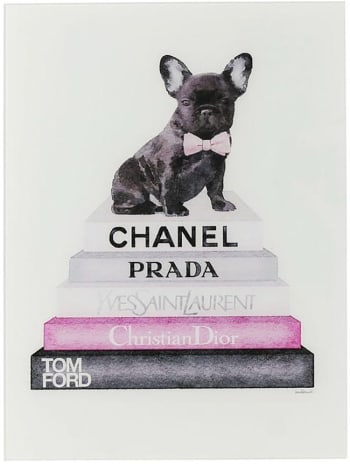 Fashion dog - Cuadro cristal perro fashion 60x80cm