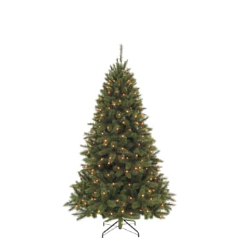 Bristlecone fir - Sapin de Noël artificiel LED H185