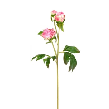 Ghirlanda Floreale Artificiale Con Peonie Rosa - Diametro 50 Cm Per Porta O Parete - 3