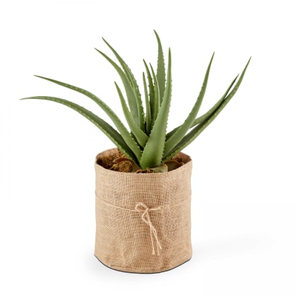 Kunstpflanze mit Topf Aloe Vera Hhe: 43 cm Oko Grn Oko | Maisons du  Monde