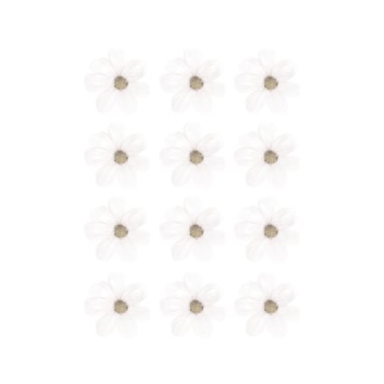 Adesivo Gerbera Margherita Rossa Isolato Su Sfondo Bianco - Foto 12