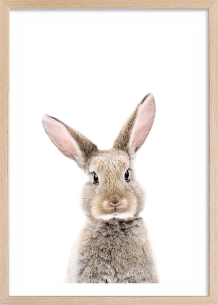 Cadre Photo Bébé Design Lapin - Primitives By Kathy, Forme Ronde, Couleur Crème, Neuf