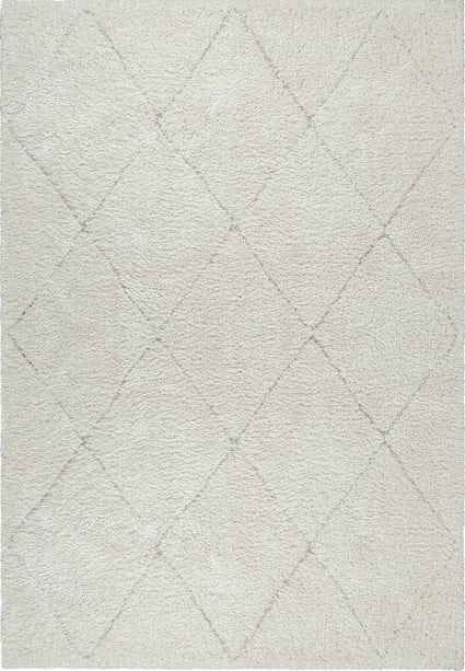 Tapis shaggy à poils longs Beige 120x170 cm-S20958 - Maison Tapis shaggy à poils longs Beige 120x170 cm-S20958 - Maison