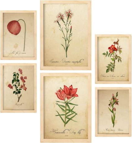 Flores vintage de estilo set de 6 laminas marco madera clara a3 & a4 ...