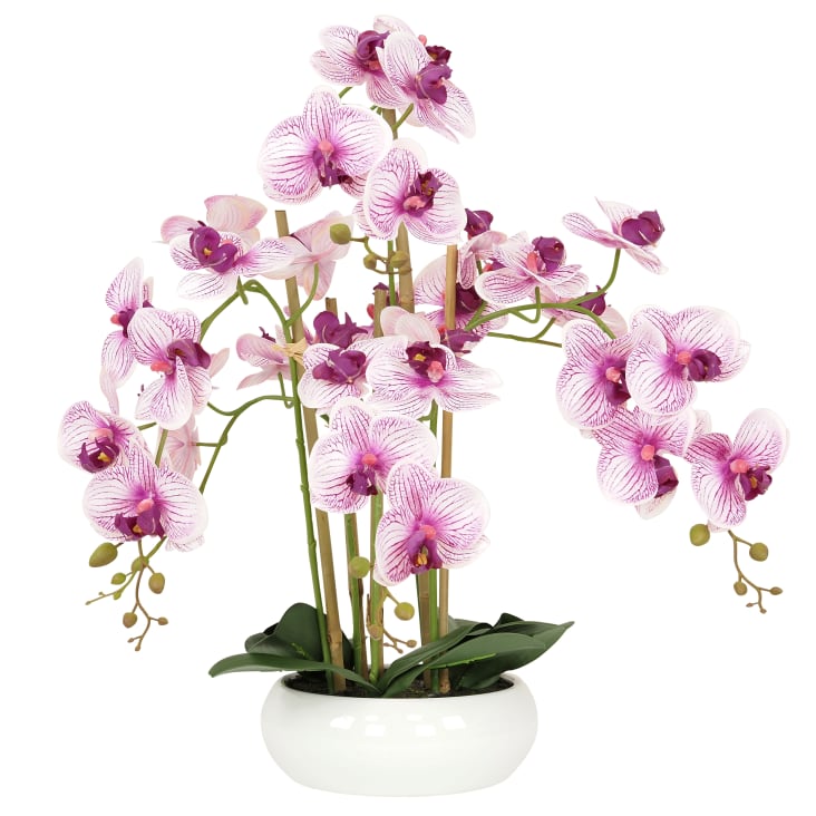 Orchidées artificielles blanches fuchsias 55cm